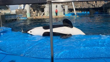 名古屋港水族館に投稿された画像（2021/12/29）
