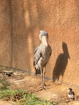 神戸どうぶつ王国に投稿された画像（2021/12/29）