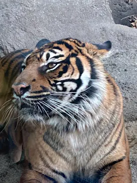 神戸どうぶつ王国に投稿された画像（2021/12/29）