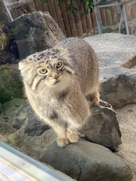 神戸どうぶつ王国に投稿された画像（2021/12/29）