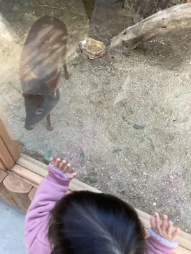 神戸どうぶつ王国に投稿された画像（2021/12/29）