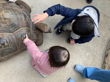 神戸どうぶつ王国に投稿された画像（2021/12/29）