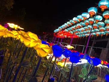 クリスマスファンタジー実行委員会に投稿された画像（2021/12/29）