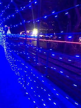 クリスマスファンタジー実行委員会に投稿された画像（2021/12/29）