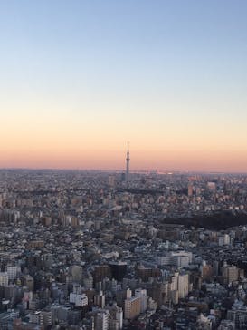 サンシャイン60展望台に投稿された画像（2021/12/29）