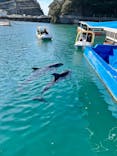 下田海中水族館に投稿された画像（2021/12/29）