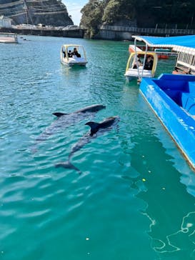 下田海中水族館に投稿された画像（2021/12/29）