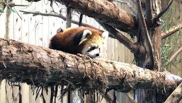 伊豆シャボテン動物公園に投稿された画像（2021/12/29）