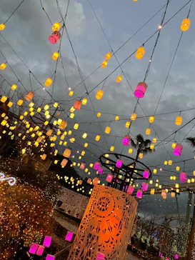 ひらかたパークに投稿された画像（2021/12/29）