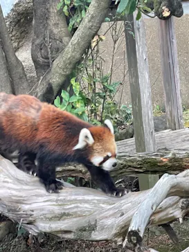 ひらかたパークに投稿された画像（2021/12/29）