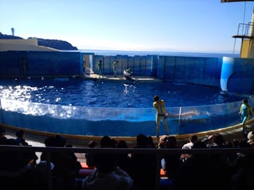 新江ノ島水族館に投稿された画像（2021/12/29）