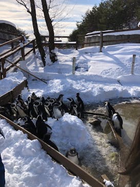 那須どうぶつ王国に投稿された画像（2021/12/29）