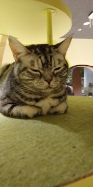 Moff animal world MARK IS みなとみらい店に投稿された画像（2021/12/29）