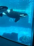 名古屋港水族館に投稿された画像（2021/12/29）