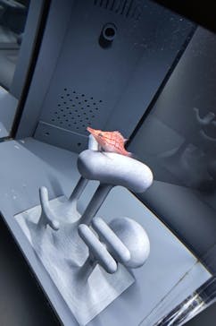 京都水族館に投稿された画像（2021/12/29）