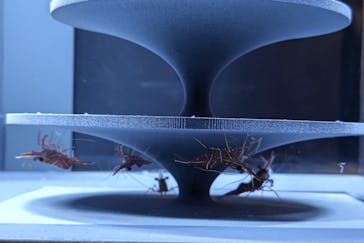 京都水族館に投稿された画像（2021/12/29）