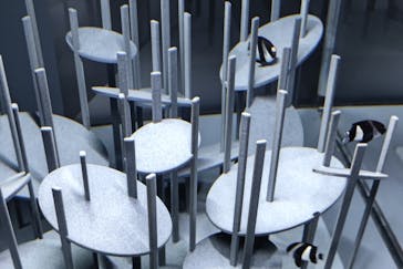 京都水族館に投稿された画像（2021/12/29）