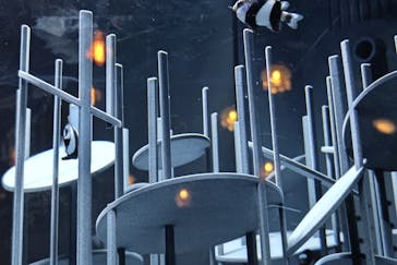 京都水族館に投稿された画像（2021/12/29）