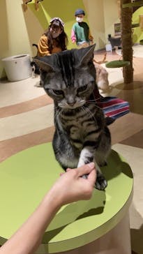 Moff animal world MARK IS みなとみらい店に投稿された画像（2021/12/29）