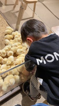 Moff animal world MARK IS みなとみらい店に投稿された画像（2021/12/29）