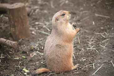 横浜・八景島シーパラダイスに投稿された画像（2021/12/29）