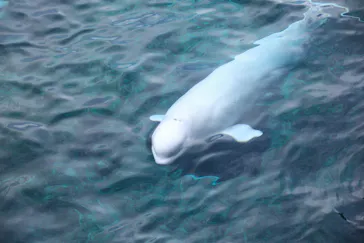 横浜・八景島シーパラダイスに投稿された画像（2021/12/29）