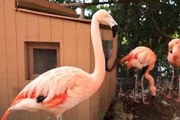 横浜・八景島シーパラダイスに投稿された画像（2021/12/29）
