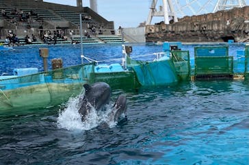 名古屋港水族館に投稿された画像（2021/12/29）