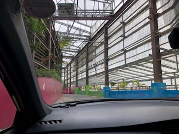 ナゴパイナップルパークに投稿された画像（2021/12/29）