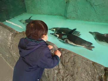 しながわ水族館に投稿された画像（2021/12/29）