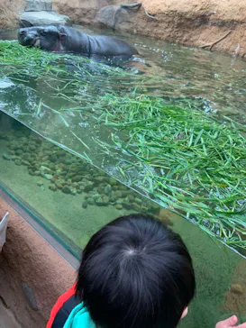 神戸どうぶつ王国に投稿された画像（2021/12/29）