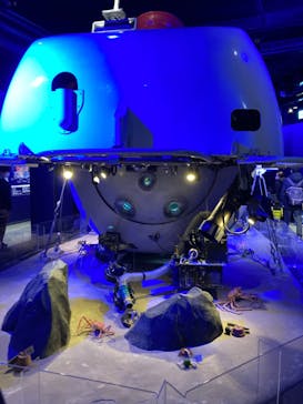 新江ノ島水族館に投稿された画像（2021/12/29）