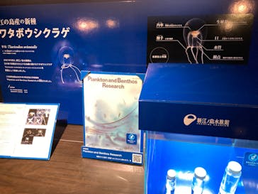 新江ノ島水族館に投稿された画像（2021/12/29）