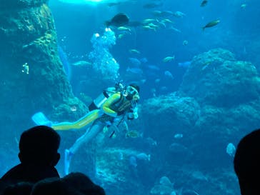 新江ノ島水族館に投稿された画像（2021/12/29）