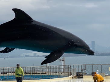 マリンワールド海の中道に投稿された画像（2021/12/29）