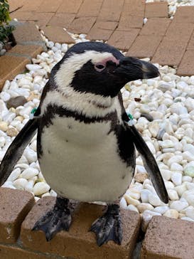 マリンワールド海の中道に投稿された画像（2021/12/29）