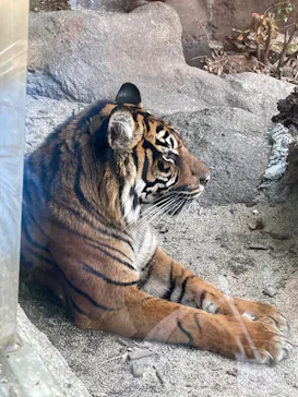 神戸どうぶつ王国に投稿された画像（2021/12/29）