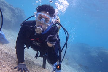 ダイビングショップ Sea Free（シーフリー）に投稿された画像（2021/12/29）