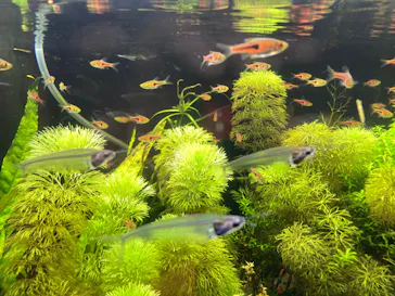 横浜・八景島シーパラダイスに投稿された画像（2021/12/29）