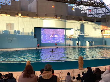 横浜・八景島シーパラダイスに投稿された画像（2021/12/29）