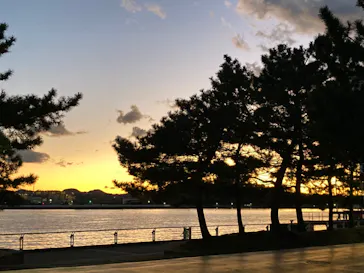 横浜・八景島シーパラダイスに投稿された画像（2021/12/29）