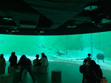 カワスイ 川崎⽔族館に投稿された画像（2021/12/29）