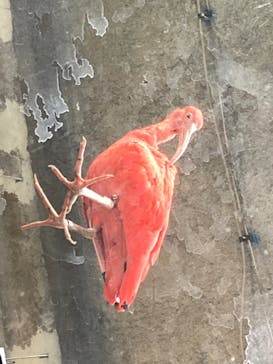 カワスイ 川崎⽔族館に投稿された画像（2021/12/29）