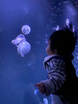 サンシャイン水族館に投稿された画像（2021/12/29）