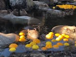 伊豆シャボテン動物公園に投稿された画像（2021/12/29）