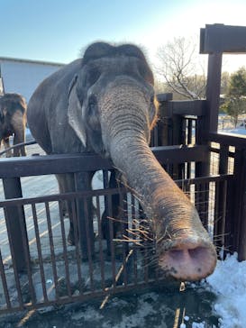 那須サファリパークに投稿された画像（2021/12/29）