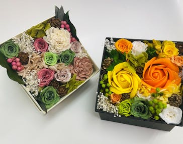 ずこうしつ〜sugamo〜に投稿された画像（2021/12/29）