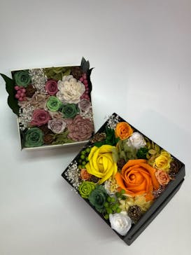 ずこうしつ〜sugamo〜に投稿された画像（2021/12/29）