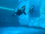 名古屋港水族館に投稿された画像（2021/12/29）