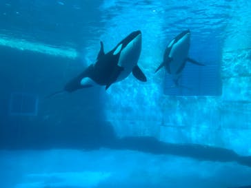 名古屋港水族館に投稿された画像（2021/12/29）